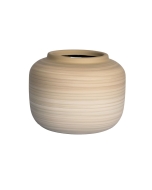 Vaso Raj P