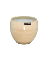 Vaso Casca de Ovo - Manaus Alto Brilho